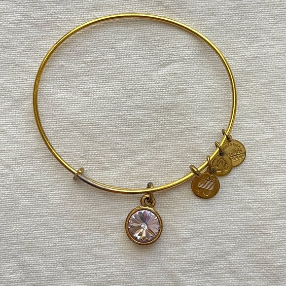 Alex and Ani Amethyst Gem Gold Bangle Charm Bracelet June Birthstone - Picture 1 of 7